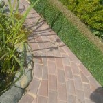 Pathway and Edging Border