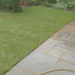 Garden Path